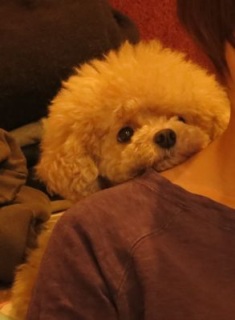 ���났�^�C����... �O�O