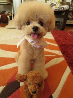 �g���~���O���` ��