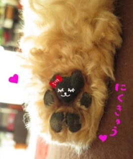�炭�������A