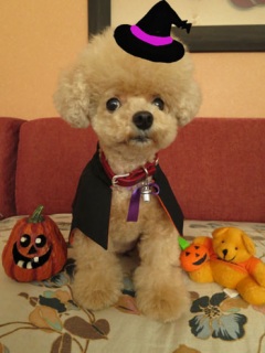 Happy Halloween ��