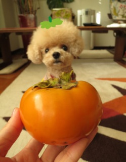 �` ...��