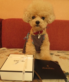 �킟�`�`���i��^�O^���j��