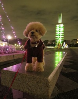 �u���B�B*